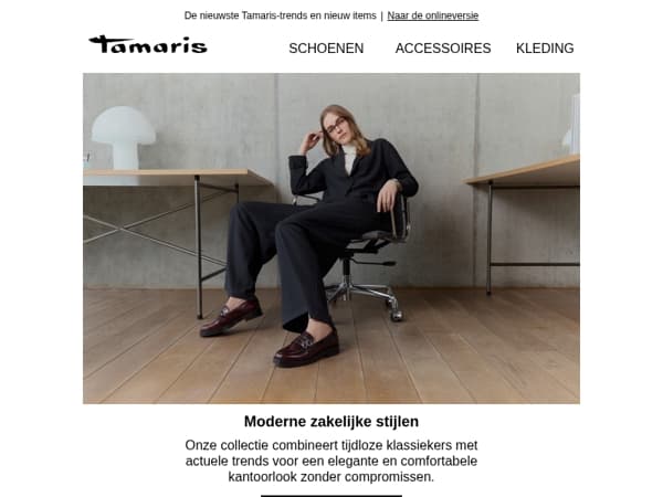 Moderne zakelijke stijlen