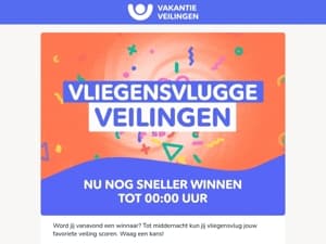 Vanavond = Vliegensvlugge Veilingen⚡
