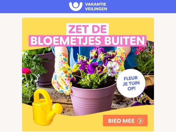 Maak je tuin klaar voor de zon🌞