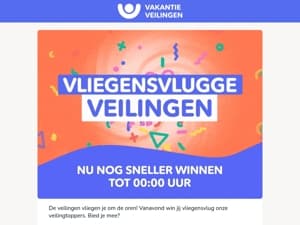 Razendsnelle veilingen tot middernacht⚡