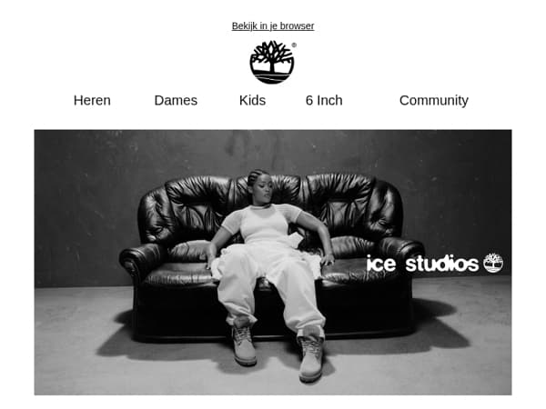Timberland & Ice Studios