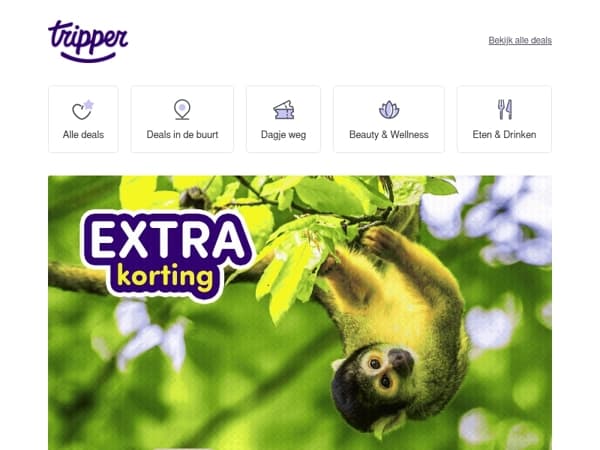 Dagpakker: Ontdek Apenheul voor maar €15! 🐒