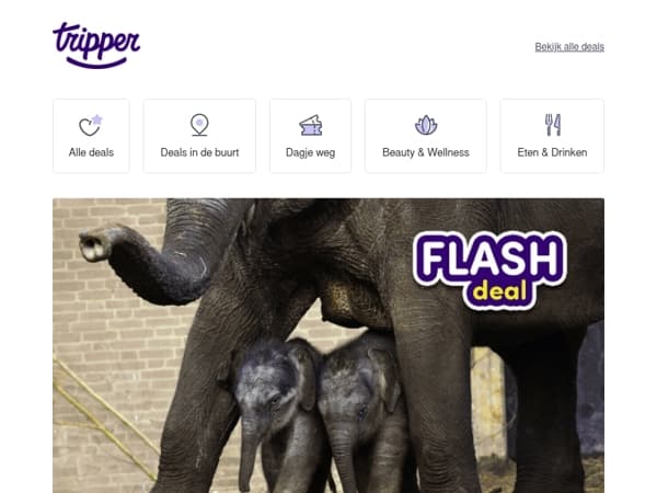 ⚡ Flashdeal: ARTIS-Park, dé iconische dierentuin van Nederland!