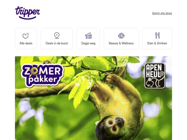 🐒 Alleen vandaag extra korting op Apenheul!