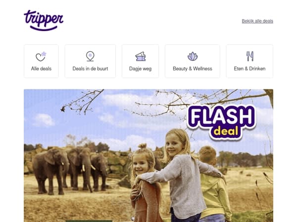 FLASHDEAL⚡ Safaripark Beekse Bergen