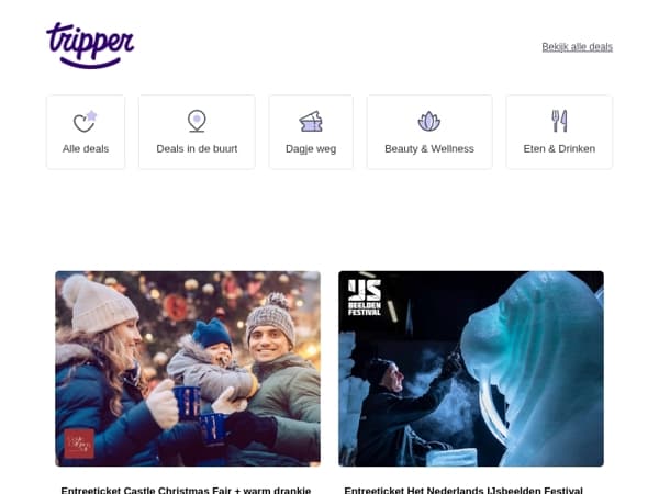 Nieuw! Het Nederlands IJsbeelden Festival❄️