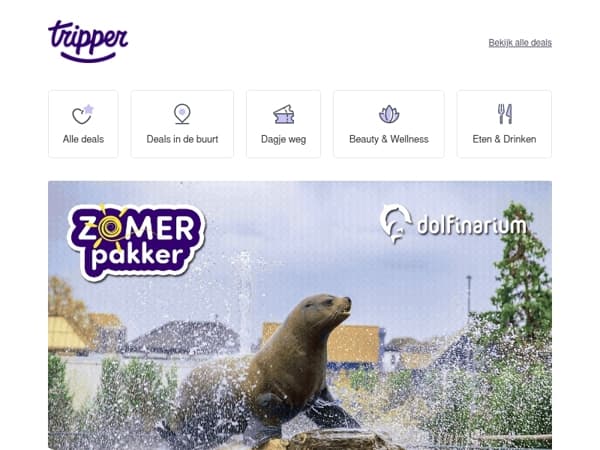 Dagpakker: extra voordelig naar het Dolfinarium! 🐬