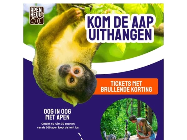 Kom de aap uithangen in Apenheul🐒