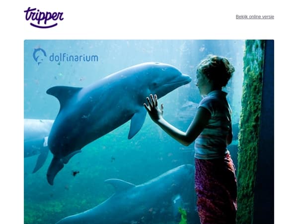 Dagpakker! Dolfinarium 🐬