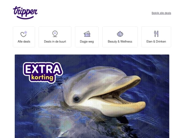 Spetterende korting op het Dolfinarium! 🐬