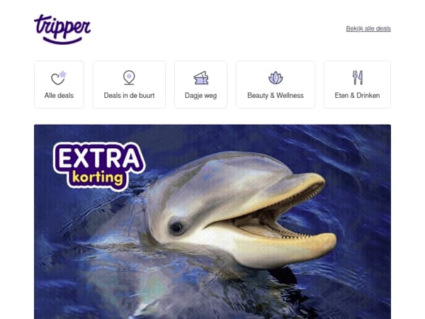 Dagpakker: extra voordelig naar het Dolfinarium! 🐬