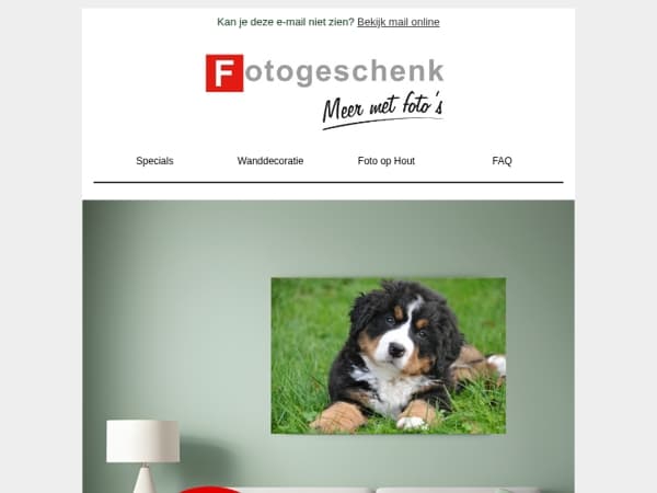 Nieuw: supersnel je foto’s bestellen 📷