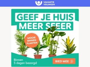 Groen geluk voor jouw interieur 🪴