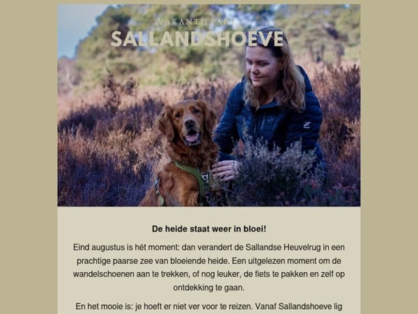 De Sallandse Heuvelrug kleurt weer paars 💜