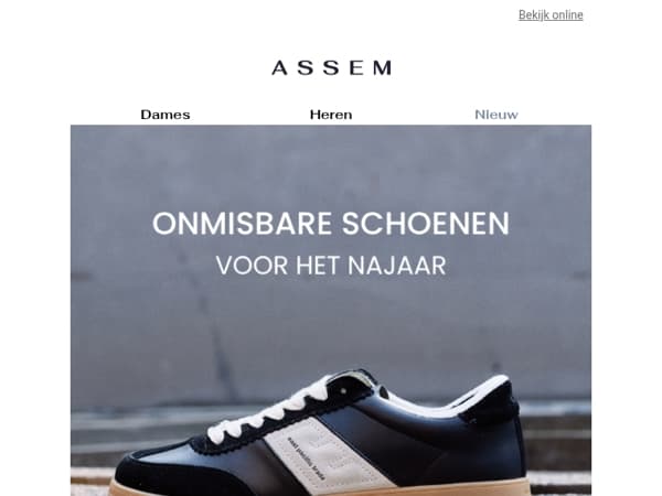 TOP 3 schoenen voor de herfst 🍁