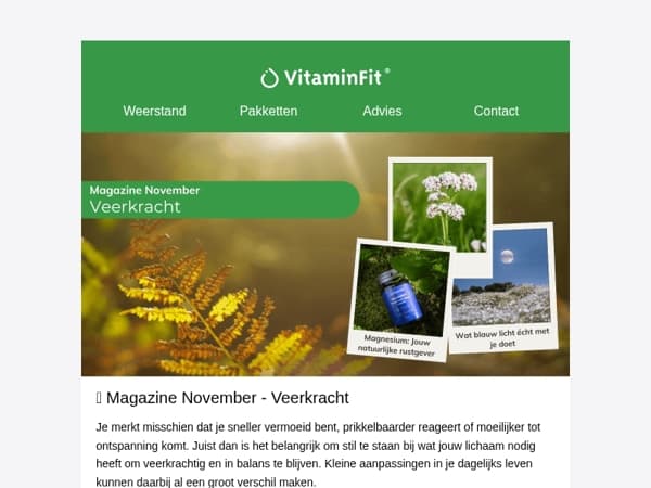 Magazine November - Veerkracht ✨🌿
