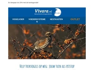 🦅 Help jij de trekvogels?