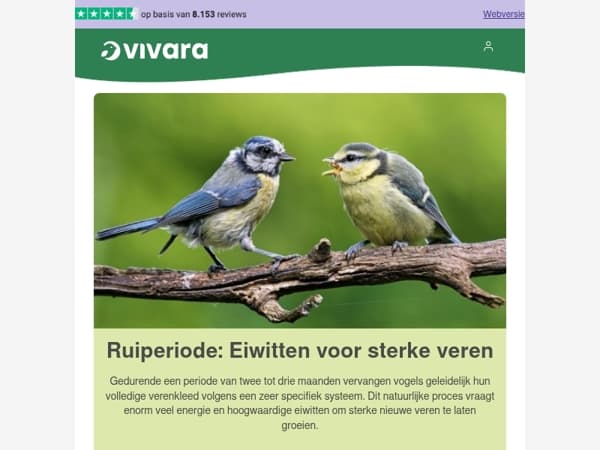🪶 Een sterk verenkleed begint met goed voer