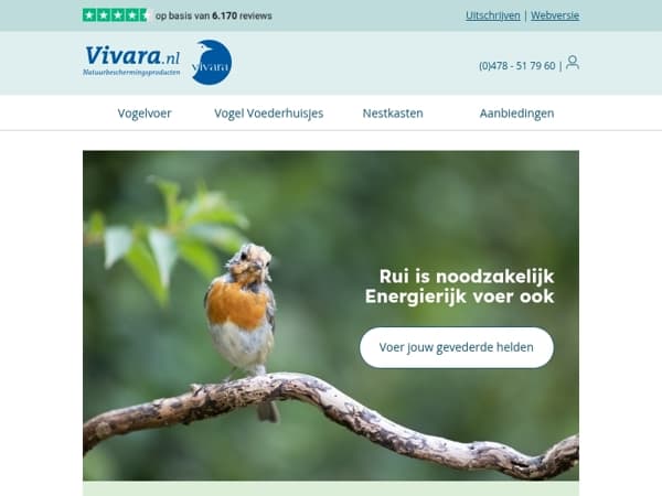 🪶 Licht als een veertje – vogels in een nieuw jasje