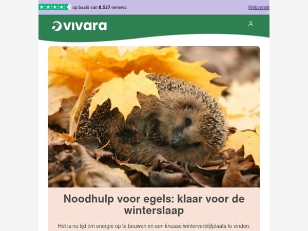 🦔 SOS voor egels
