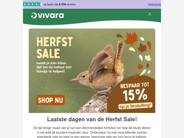⏰ Bijna voorbij: Herfst Sale