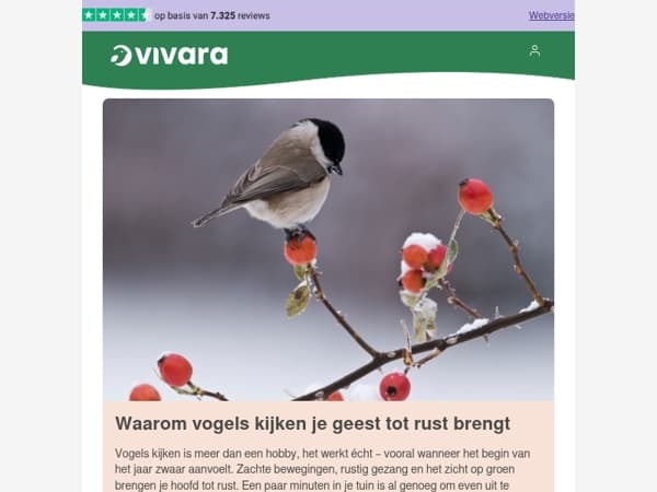 ✨ Waarom natuur je helpt ontspannen