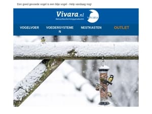 Winterfavoriet bij vogels – Nu 10% korting! ❄