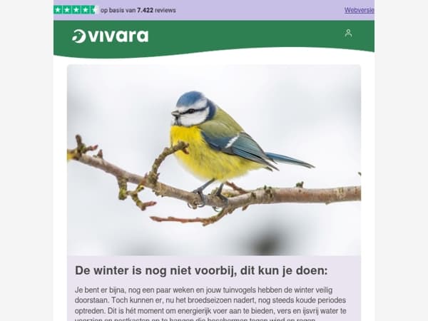 🐦‍⬛ Koude nachten? Geef vogels beschutting