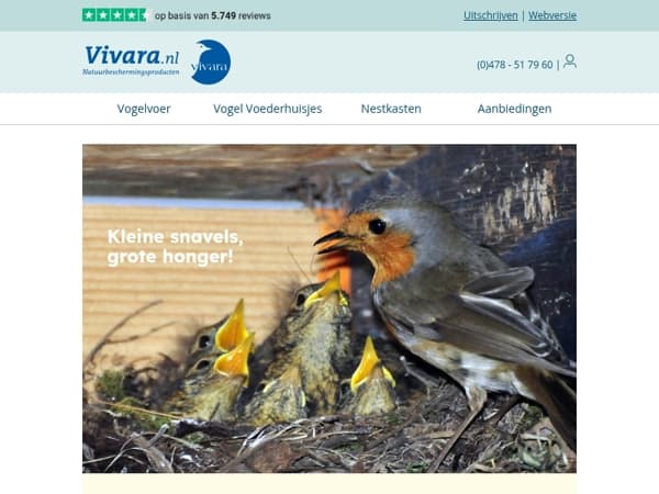 🍃 Voedingstips voor de hongerige lentevogels