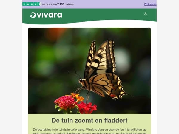 🦋 De lente van dichtbij: bijen & vlinders