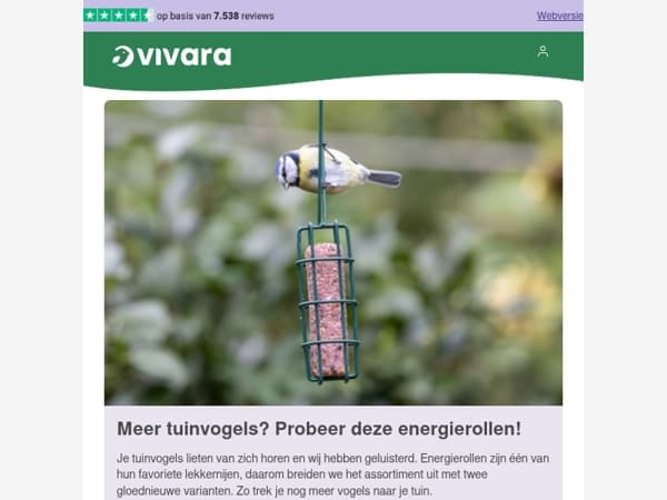 💚 NIEUW: Heerlijke energierollen