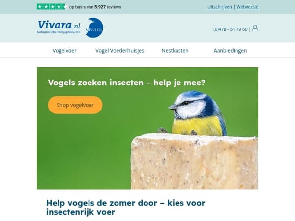 🪰 Help tuinvogels deze zomer met insectenrijk voer