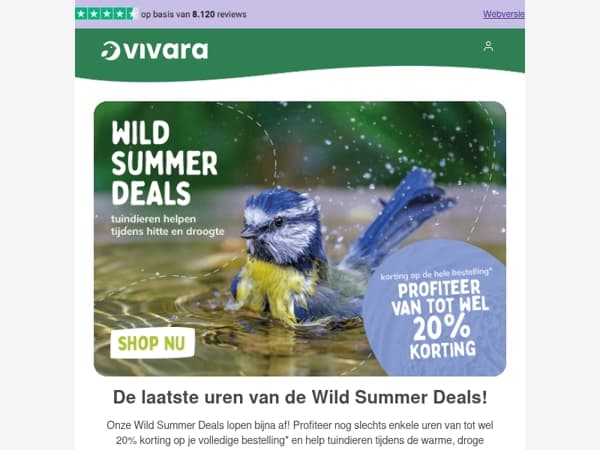 ⚡ 20% korting – laatste kans