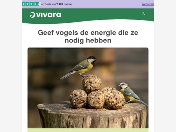 🪹 Het broedseizoen komt eraan – geef vogels nu energie