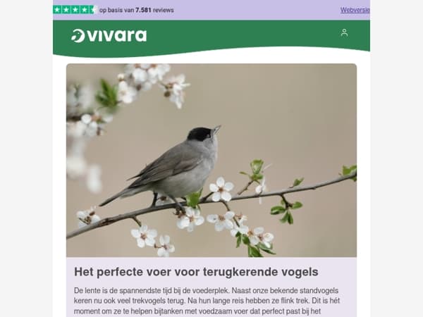 🚀 3...2...1... Het is lente!