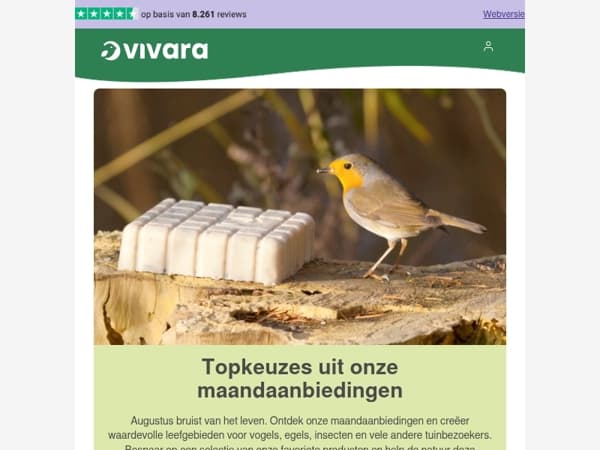 💚 Jouw maandanbiedingen van augustus