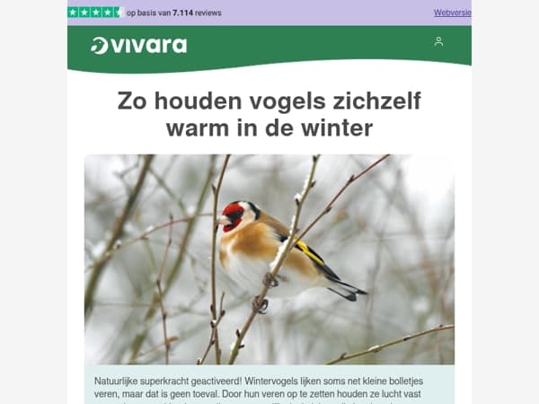 🪶 Bespaar 10% en geef vogels extra energie