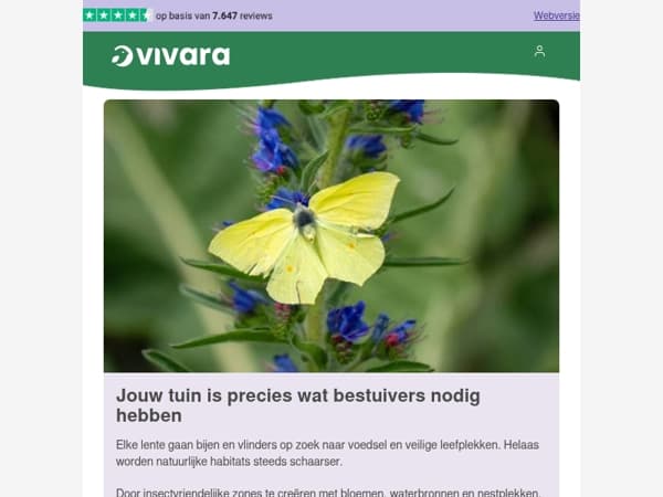 🌼Bespaar op insectenhotels en meer