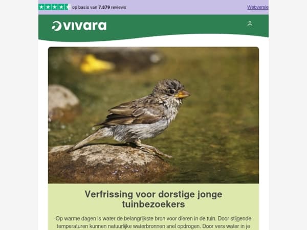 💧 Verfrissing: 20% korting op waterschalen