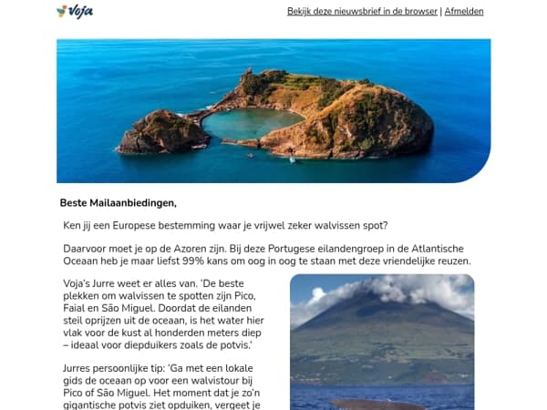 99% kans om walvissen te spotten – in Europa