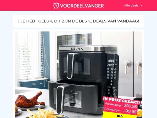 🍟😋 EXTRA KORTING: Dubbele Airfryer -70% / Opvouwbare Wasmand / Kledingstomer / Waterdichte Kussenhoes / Lily Tarzan
