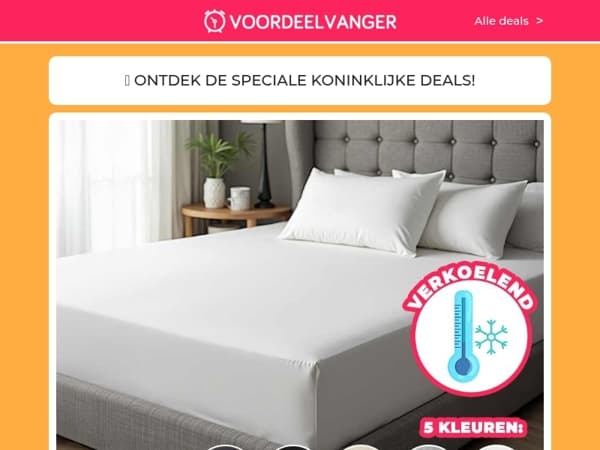 🦁🎊 KORTINGSFEEST: 1+1 Gratis Verkoelende Hoeslakens / Oplaadbare Ventilator / 64x Ariel Pods / 2x Slimme Solar Lampen / Smart Wallet 1+1