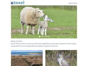 Dierendag op Texel