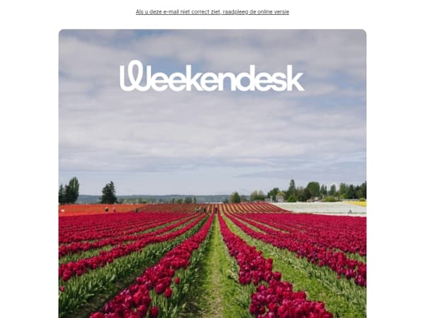 Het tulpenseizoen staat in volle bloei