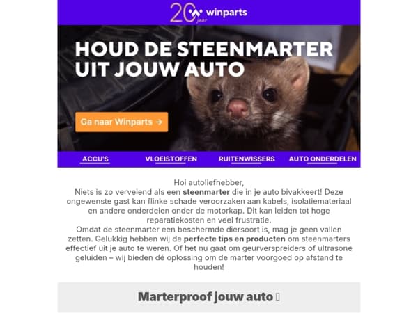 ⚠️ Houd de steenmarter uit jouw auto