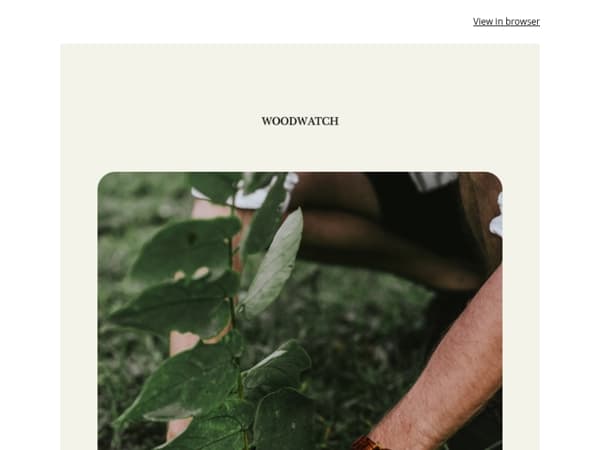 🌳 Make 3x the Impact This Week (+ 20% OFF)