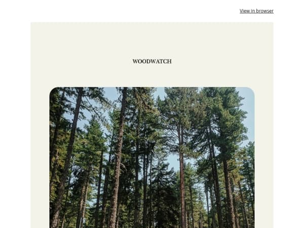 A small way to slow down this Earth Week 🌿