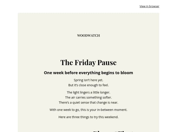 The Friday Pause: The In-Between Week 🌿