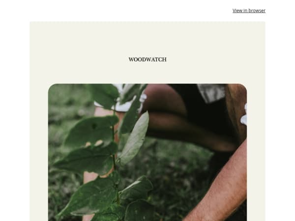 🌳 Earth Week Sale: up to 25% OFF + 3 trees planted
