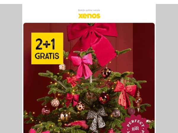 Kersttrends voor iedereen, ontdek het nu🎄
